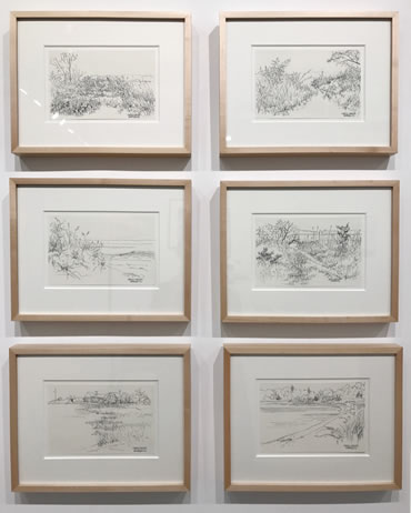 Casey Chalem Anderson, Ink drawings on paper, 2017, 11 X 14 inches framed