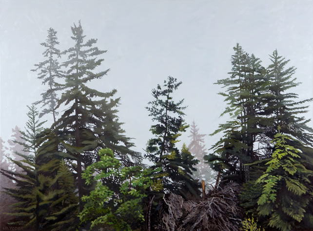 Charles Yoder, Mystified, 2009, oil on canvas, 45 x 60 inches