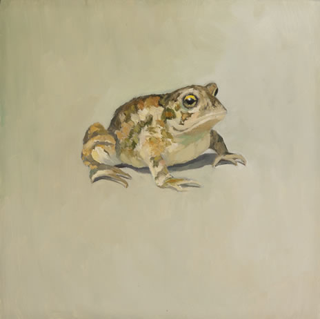 Edwina Lucas - Mr. Toad,  oil on canvas, 8 x 8 inches