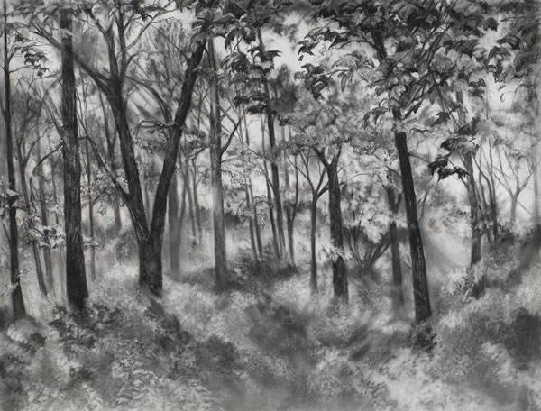 Edwina Lucas - Rolling Light, 2017,  charcoal on paper, 38 x 50 inches