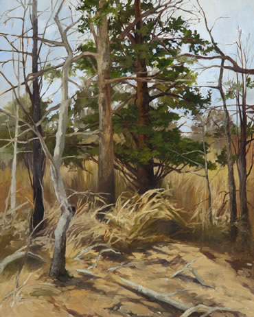 Edwina Lucas - The Way Through the Woods,  oil on canvas, 20 x 16 inches