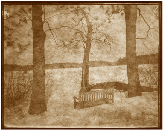 Koichiro Kurita -  ‘Beyond Sight H’, Great Meadows, Concord, MA, 2014, Albumen print from Talbotype paper, negative image size 8 x 10 inches, Edition 8