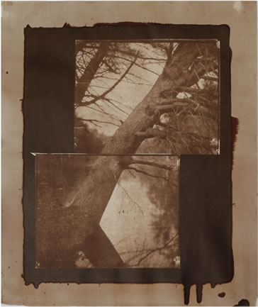 Koichiro Kurita -  ‘Constant View’, Montvill, ME, 2011, Albumen print  from Talbotype paper negatives,  image size 14 x 17 inches, paper size 16 x 20 inches,  Edition 8, AP 2