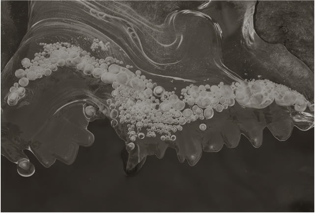 Koichiro Kurita -  ‘Ice Bubbles’, Nagano, Japan, 1989, platinum palladium print,  8 x 10 inches,  Edition 20 and 23 x 34 inches, Edition 5