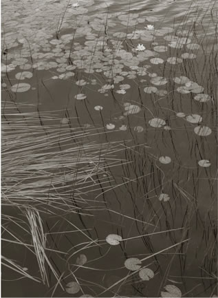 Koichiro Kurita -  ‘Share’, Jams Bay, Quebec, 1992, platinum palladium print,  14 x 20 inches,  Edition 8 and 23 x 34 inches, Edition 2