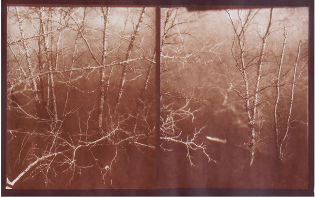 Koichiro Kurita -  ‘Spring Thaw in Merrimack’, Lowell, MA, 2015, Albumen print  from Talbotype paper negatives,  10 x 16 inches,  Edition 5, AP 2