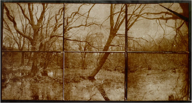 Koichiro Kurita -  ‘Vernal Equinox’,  Arshamomaque Presevation Long Island, NY, 2013, Albumen print  from Talbotype paper negatives,  16 x 30 inches,  triptych, Edition 3, AP 2