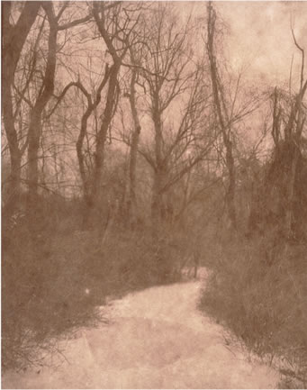 Koichiro Kurita -  ‘Winter Path’, Great Meadows, Concord, MA, 2014, Albumen print on Japanese gampi paper from Talbotype paper negative paper,  8 x 10 inches, Edition 8, AP 2