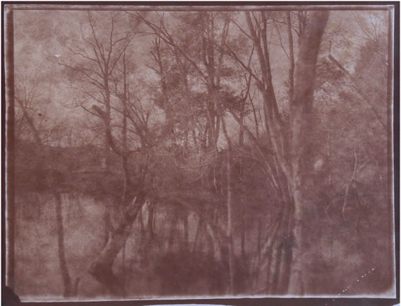 Koichiro Kurita -  ‘Twilight’, Ipswich River, MA, 2015, Albumen print  from Talbotype paper negative,  8 x 10 inches,  Edition 8, AP 2