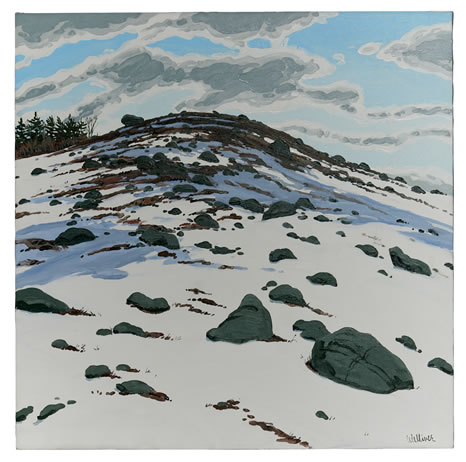 Neil Welliver, (1929-2005), Shadow on Frankfort Barren, 1982, Oil on linen, 36 x 36 inches